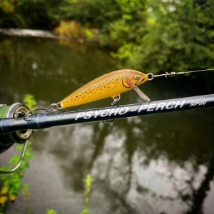 Vobler Rapala Vobler Pastrav Count Down CD07 PRLU 7cm 8g pentru pescuit la rapitori - Fisela