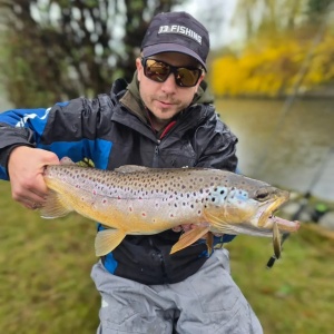 Vobler Rapala Vobler Countdown Elite CDE55 GDIW 5.5cm 5g pentru pescuit la rapitori - Fisela