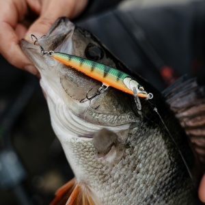 Vobler Rapala Floater Elite FE120 GDPD 12cm 10g pentru pescuit la rapitori - Fisela