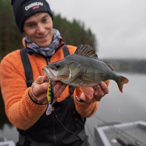 Vobler Rapala Harvest Shad HVSD07 P 7cm 9g