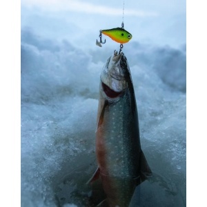 Vobler Rapala Rippin Rap RPR07 Halloween 7cm 24g - Img 10