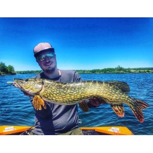 Vobler Rapala Ripstop RPS12 AS 12cm 14g pentru pescuit la rapitori - Fisela