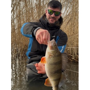 Vobler Rapala Vobler Shad Rap RS SRRS05 S 5cm 9g pentru pescuit la rapitori - Fisela