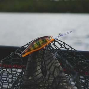 Vobler Rapala Shadow Rap Jack Deep SDRJD05 HH 5cm 6g - Img 3