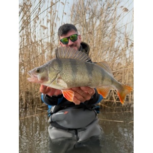 Vobler Rapala Vobler Ultra Light Minnow ULM06 TR 6cm 4g pentru pescuit la rapitori - Fisela