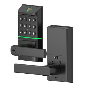 Set mâner smart cu broască Codex Grip, amprentă, cod, card și aplicație Tuya, negru - Img 4