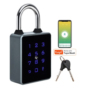 Lacăt smart TitanLock cu cifru, card și aplicație Tuya, IP65