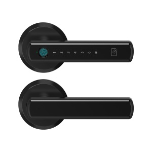 Set mâner smart CittaLock cu broască, amprentă, cod, card și aplicație Tuya Smart, negru mat