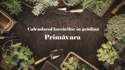 Calendarul lucrărilor în grădină – primăvara, pas cu pas