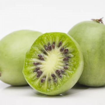Kiwi Issai (Actinidia arguta Issai), arbust fructifer - Img 2