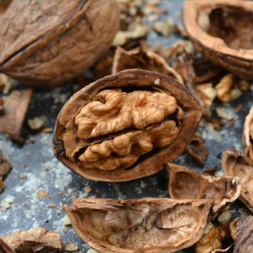 Nuc (Juglans regia), arbore ornamental, planta parfumata - Img 3