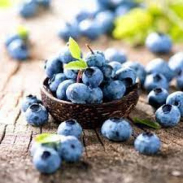 Afin de cultura (Vaccinium cor. Duke), planta fructifera - Img 3