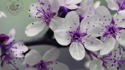 3 ingrediente naturale care ne vindecă tenul de... iarnă
