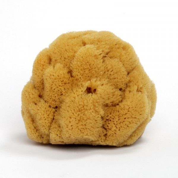 Burete Natural de Mare 12 cm