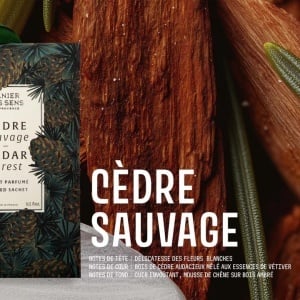Saculet Parfumat 15g – Cedru Salbatic – Panier des Sens - Img 2