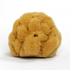 Burete Natural de Mare 12 cm