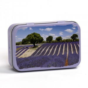 Savoniera Metalica - Camp de Lavanda