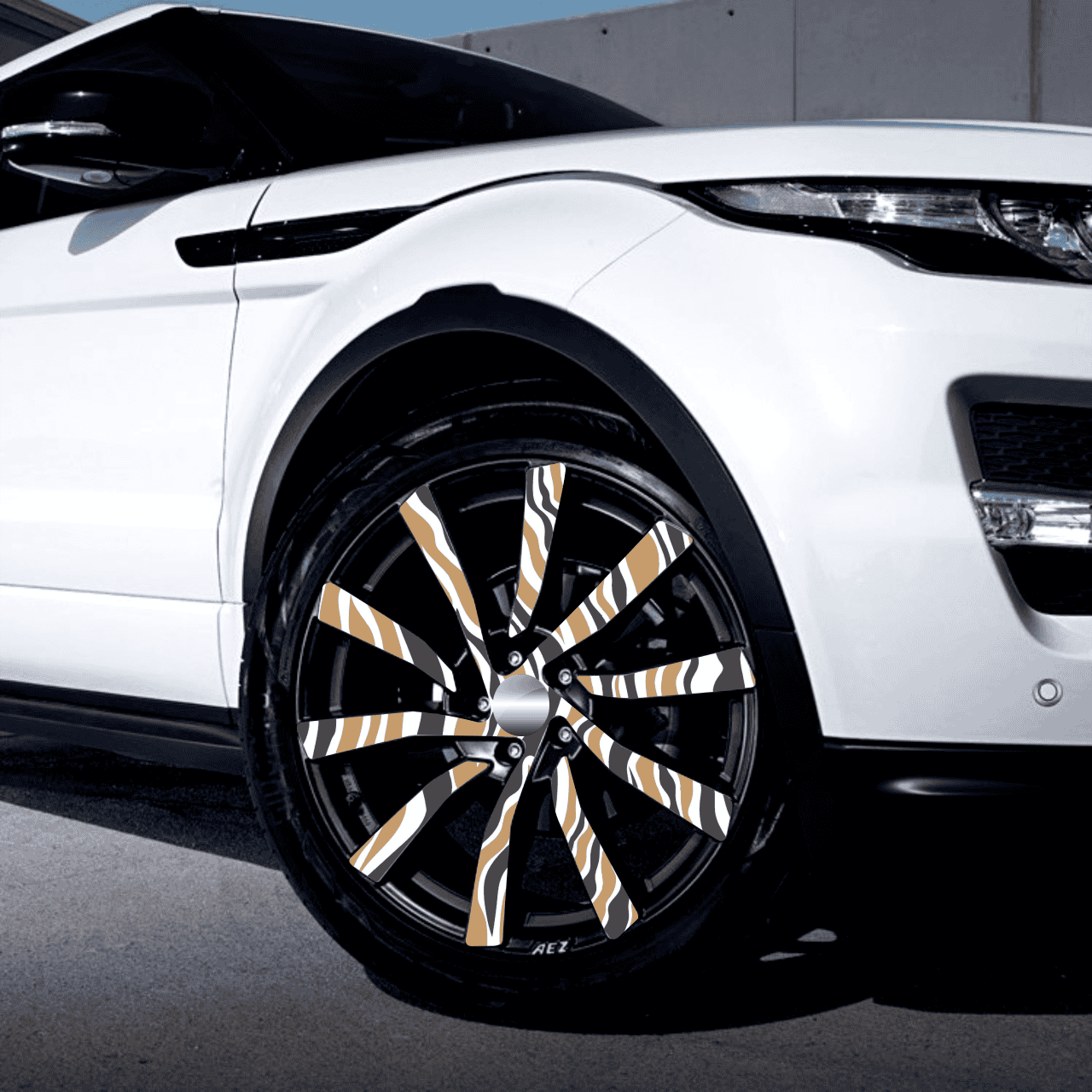 Accesorii Auto