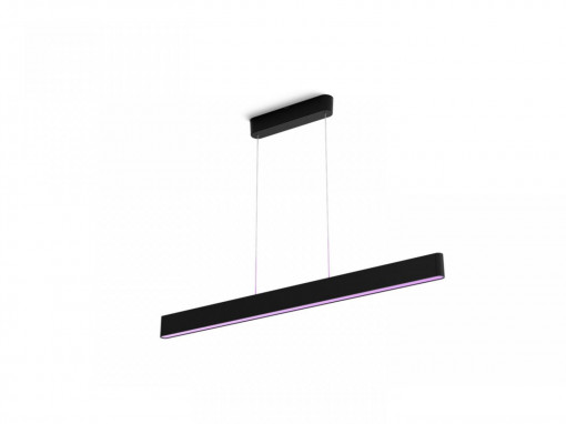 ENSIS HUE PENDANT BLACK 2X39W 24V