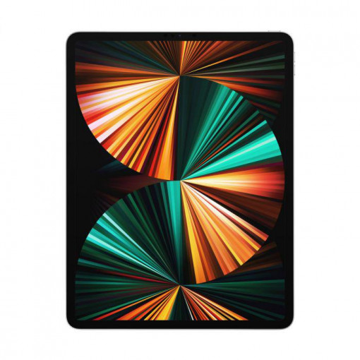 IPAD PRO(6th) 12.9 CELLULAR 1TB SILVER