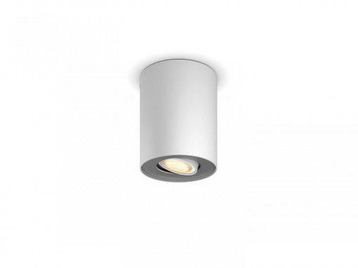 PILLAR HUE EXT. SPOT SINGLE SPOT WHITE 1