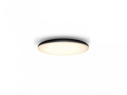 CHER HUE CEILING LAMP BLACK