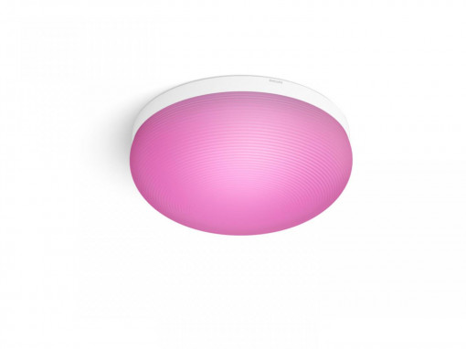 FLOURISH HUE CEILING EU/UK WHITE 32W 24V