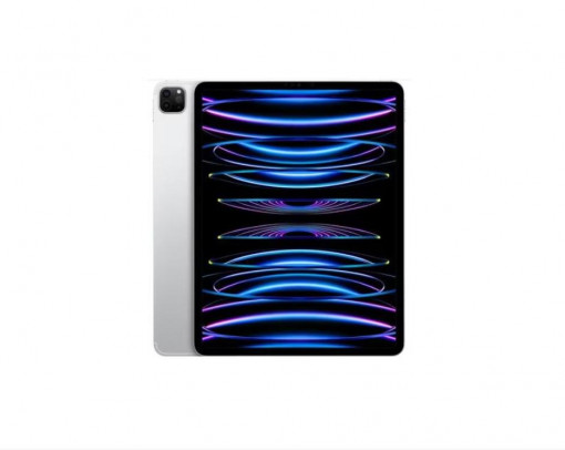 IPAD PRO(6th) 12.9 CELLULAR 128GB SILVER