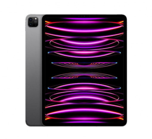 IPAD PRO(6th) 12.9 CELLULAR 128GB GREY