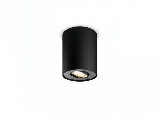 PILLAR HUE EXT. SPOT SINGLE SPOT BLACK 1