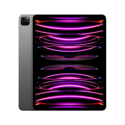 IPAD PRO(6th) 12.9 CELLULAR 256G US GREY