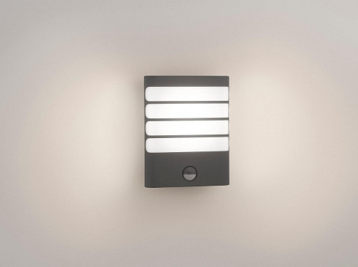RACCOON WALL LANTERN ANTHRACITE 1X3W SEL