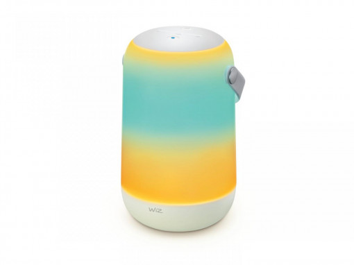 WI-FI BLE TRUE PORTABLE EU TYPE C