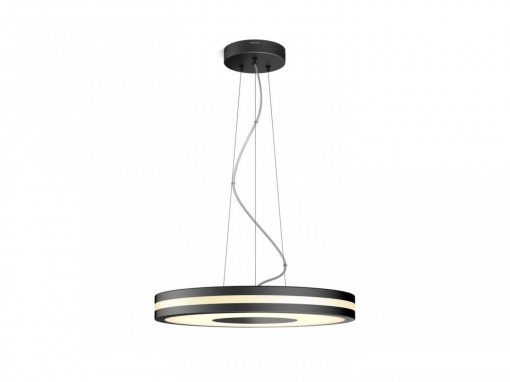 BEING HUE PENDANT BLACK 1X33.5W 24V