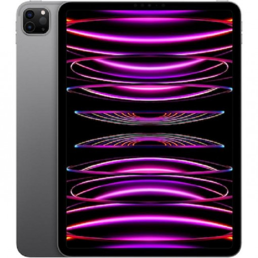 IPAD PRO(4th) 11 CELLULAR 1TB GREY