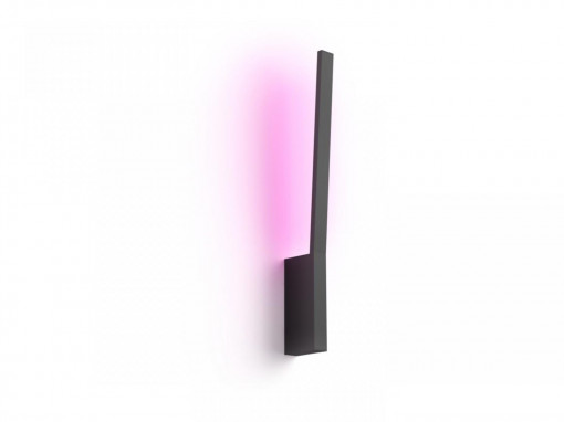 LIANE HUE WALL BLACK 12W 24V
