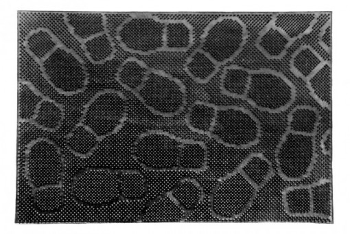 COVORAS INTR.CAUCIUC 40X60CM,MOD.PANTOF