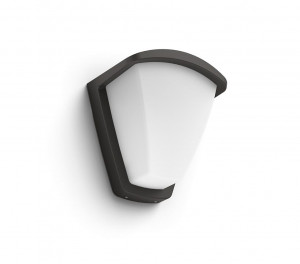 KISKADEE WALL LANTERN ANTHRACITE 1X42W - Img 1