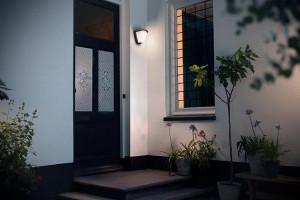 KISKADEE WALL LANTERN ANTHRACITE 1X42W - Img 2
