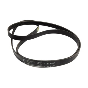 1181H7EL/MA POLY V CUREA ELASTICA D318587