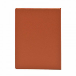 Husa magnetica Onyx Boox Nova Air - Img 2