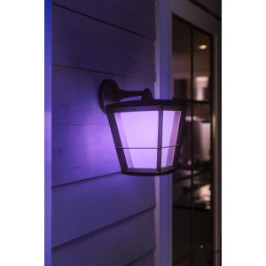 ECONIC HUE WACA EU DOWN WALL LANTERN - Img 3