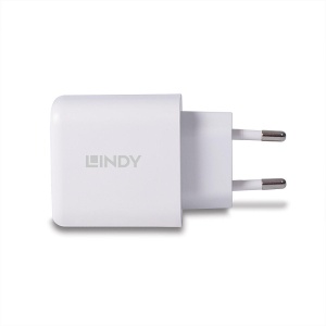 Incarcator Lindy USB Type-A & C 65W - Img 3