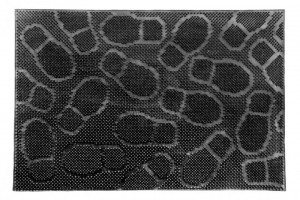 COVORAS INTR.CAUCIUC 40X60CM,MOD.PANTOF - Img 1