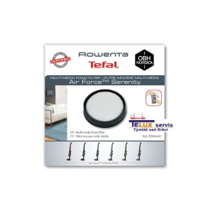 Filtru aspirator Rowenta