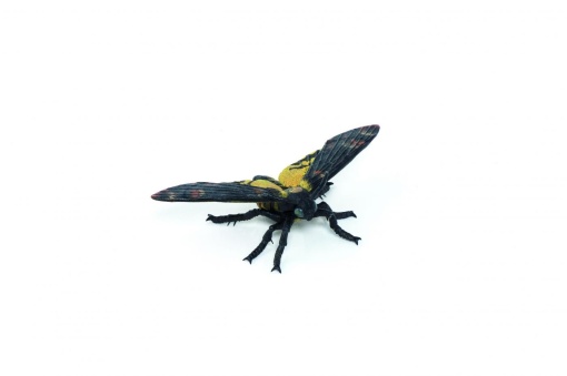 PAPO FIGURINA MOLIE