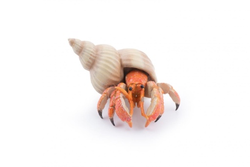 PAPO FIGURINA CRAB PUSTNIC