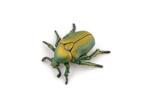 PAPO FIGURINA CARABUS - Img 2