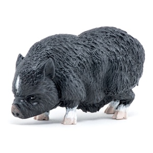 PAPO FIGURINA PORC VIETNAMEZ - Img 1