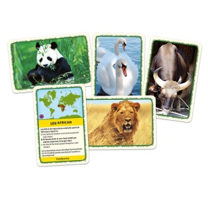 Joc educativ - Animalele lumii, Tactic - BLACKFIRE - Img 2
